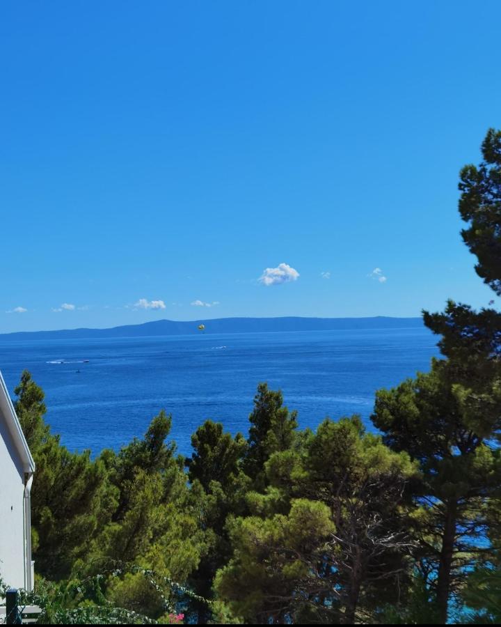 Apartman Maric